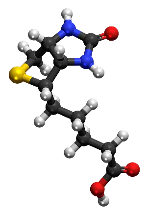 folic-acid